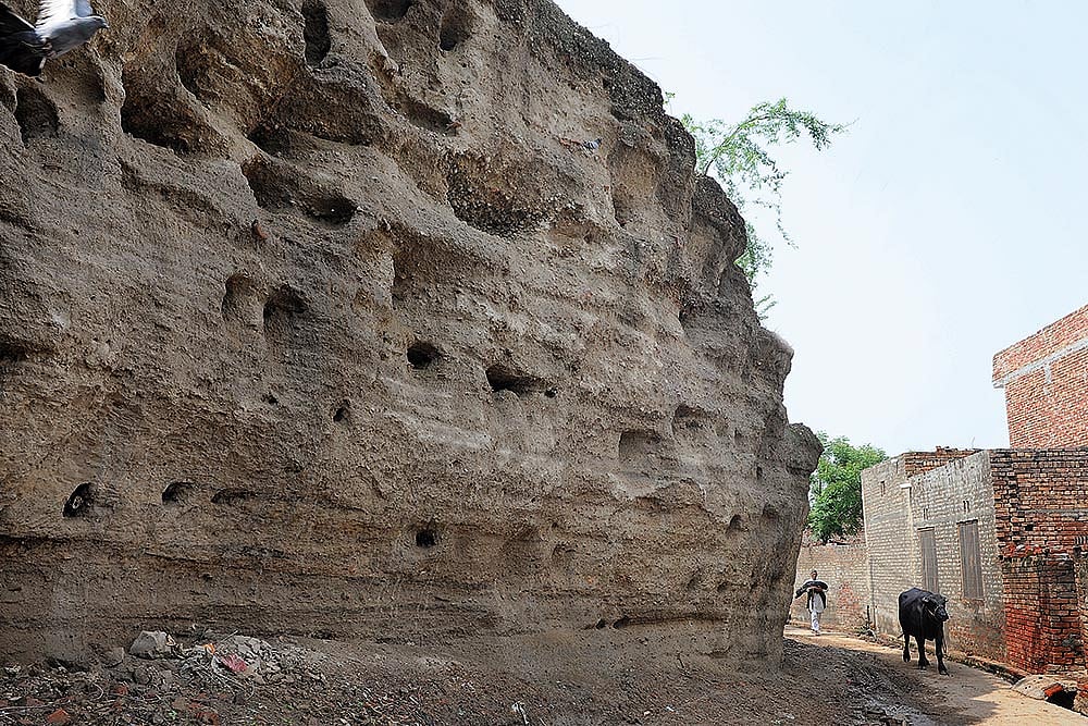 We Are All Harappans