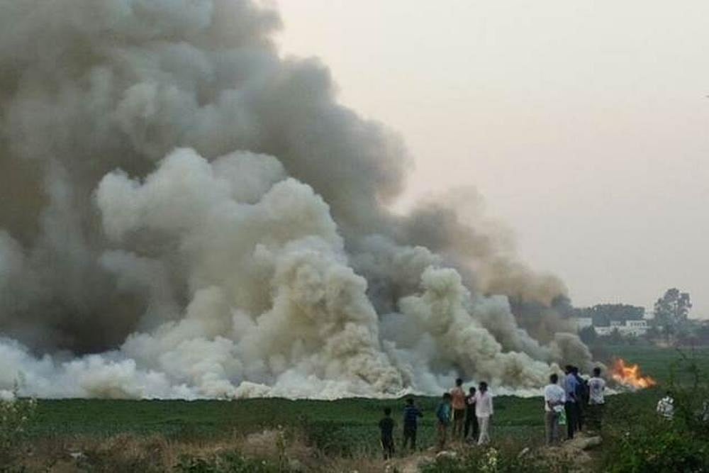 The Unending Woes Of Bangalore's Bellandur Lake