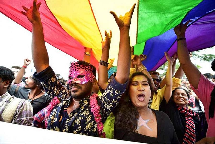 Members and Supporters of the LGBT community celebrating (Representative Image)