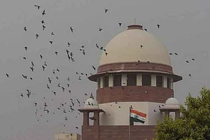 File Pic : Sandeshkali Assault Case: West Bengal Government Moves Supreme Court Against CBI Probe