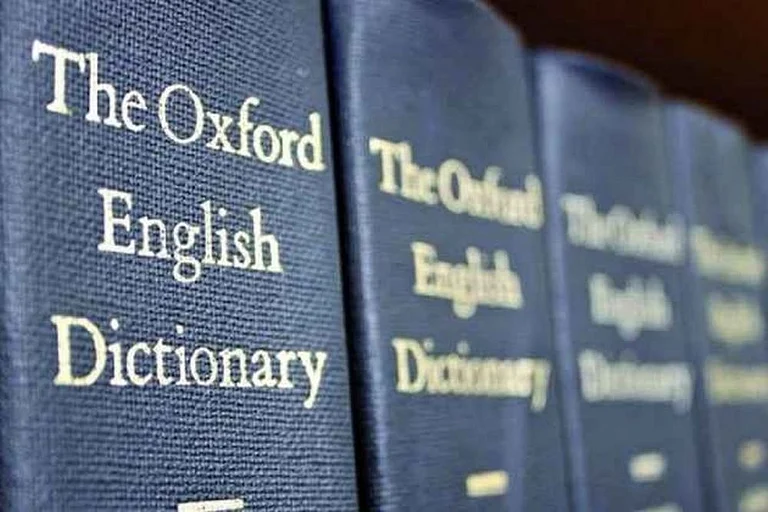 Lexicographers noted a sharp rise in the usage of the term over the past year, mirroring a wider shift in online behaviour. - File photo