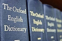 File photo : Lexicographers noted a sharp rise in the usage of the term over the past year, mirroring a wider shift in online behaviour. 