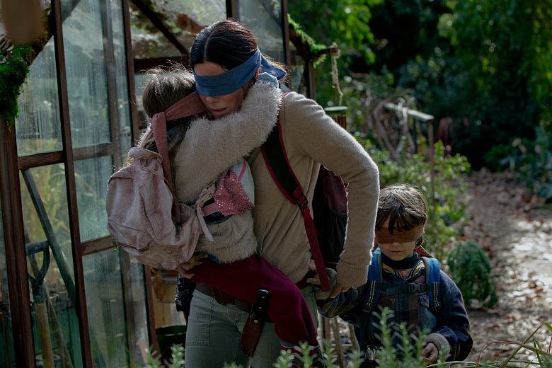What Is #BirdBox Challenge, Why Netflix Issued A Warning Telling People Not To Try It