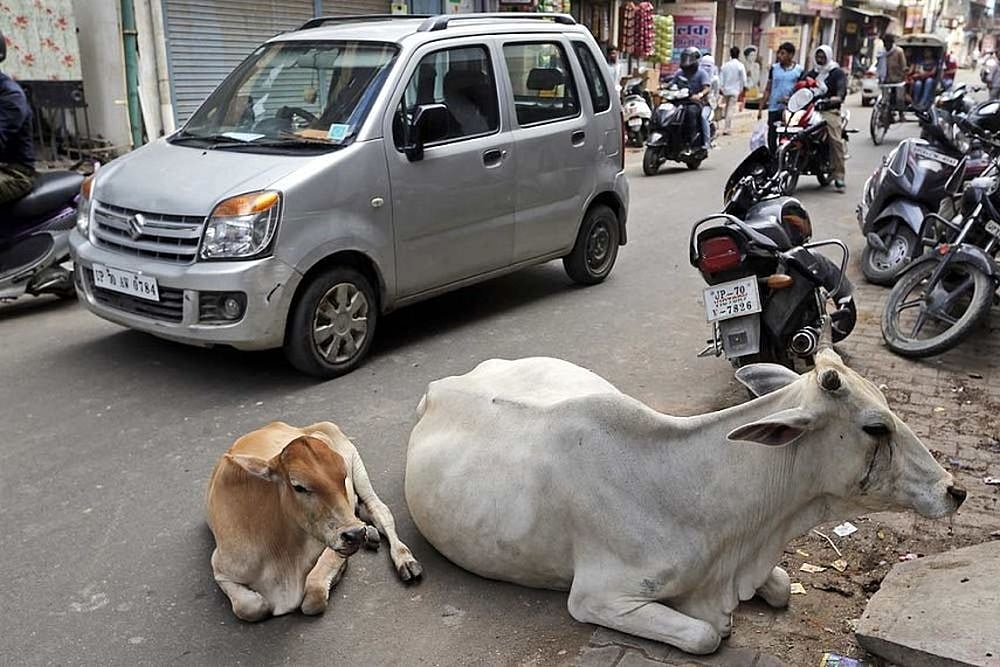 Rahul Bajaj Asks BJP What They Have Done To Protect Cows?