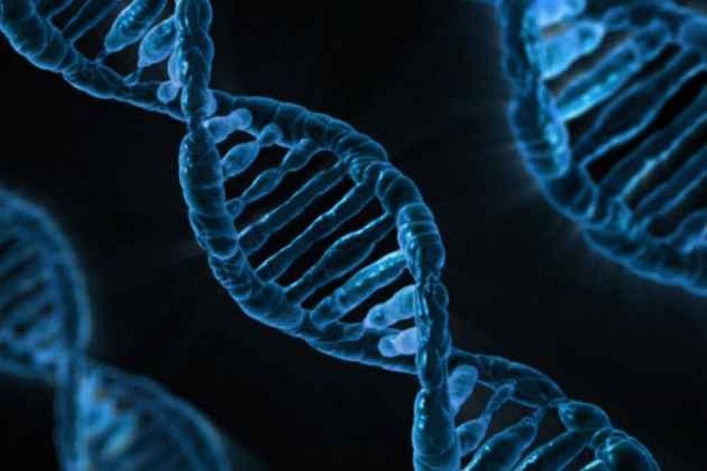 Lok Sabha Passes DNA Technology Regulation Bill