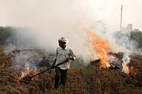 Delhi’s Daily Pollution Spikes Driven Mainly By Traffic, Not Stubble: Study Representative image