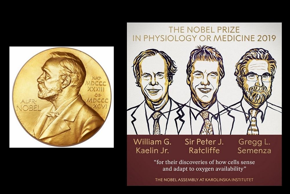 3 Scientists Awarded Nobel Prize In Medicine For Cell Research