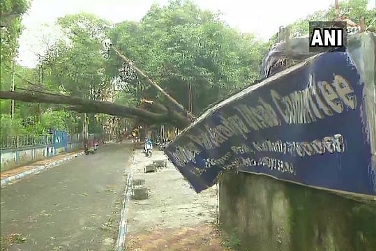 Northwestern In Bengal Brings Down Trees, Damages Vehicles