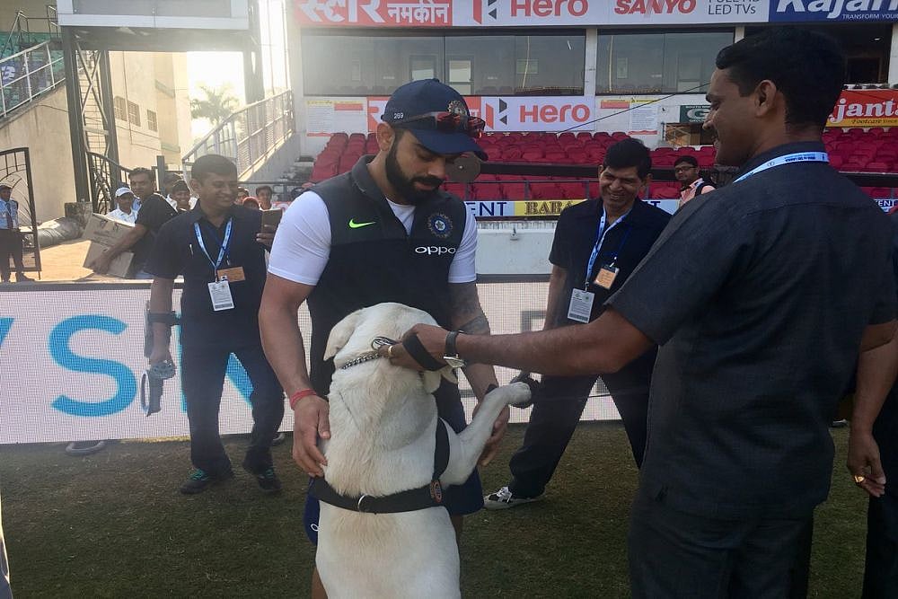 Virat Kohli: Another Well-Deserved Accolade For Indian Cricket Captain, This Time Off The Field