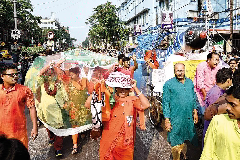 Preventive Measures Not Enough As Dengue Leaves Bengal Reeling