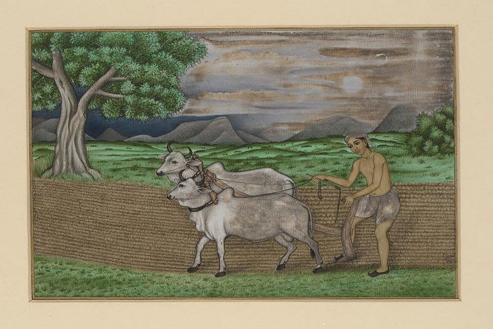 The Paradox Of Food Scarcity Amid Abundance In India And What Needs To Be Done