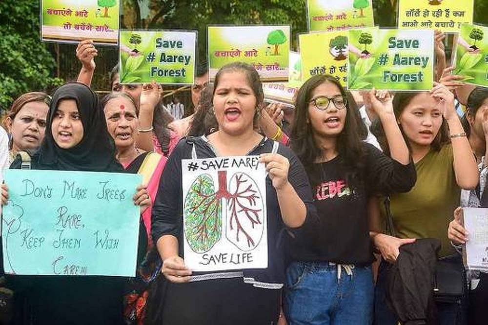 'Not A Single Leaf Will Be Cut': Uddhav Announces Stay On Aarey Metro Car Shed Project