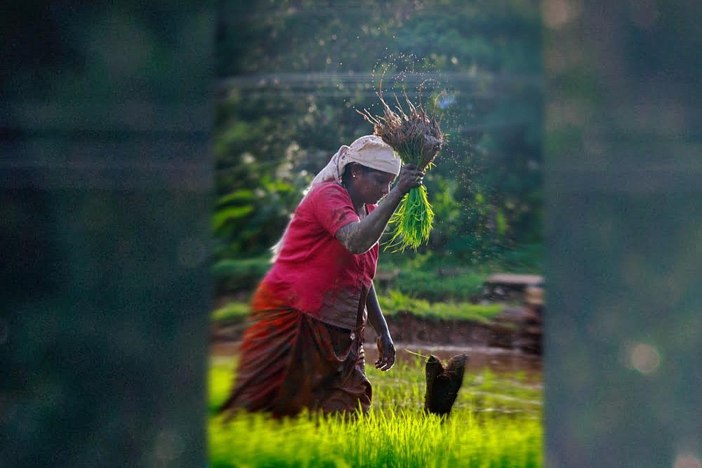 Why Agriculture Has To Talk Nutrition, To Make #ZeroHunger A Part Of Poshan Abhiyan