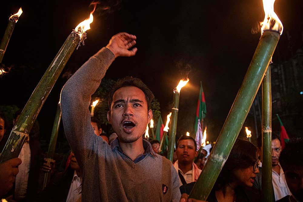 '...India Is Already Burdened By Massive Population, Can’t Keep Giving Citizenship': BJP's Lalitha Kumaramangalam