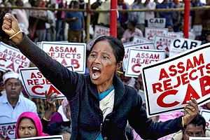 Entire Basis Of India’s Nationhood Is Our Civilisational History: Harsh Mander