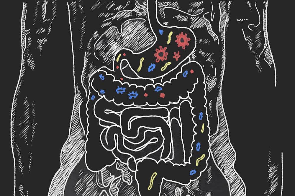 Why Good Nutrition Will Remain A Distant Dream Unless We Stop The Chemical Onslaught On Our Food, From Farm To Plate