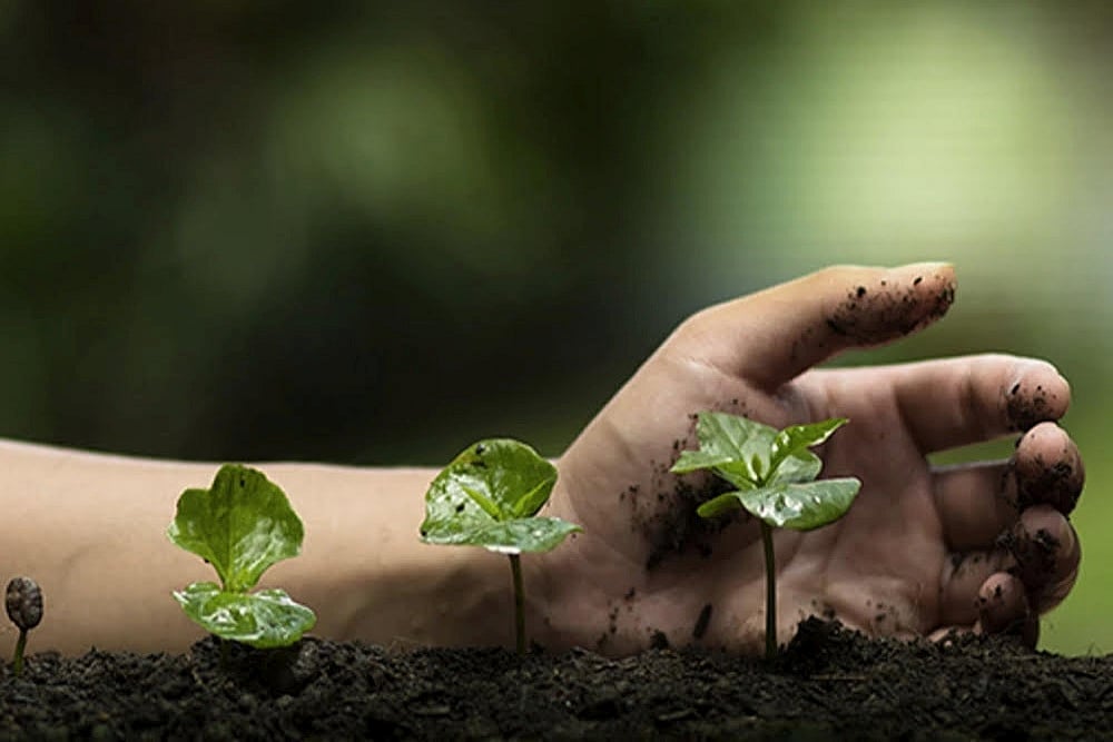 Healthy Planet, Healthy Plants, Healthy Lives