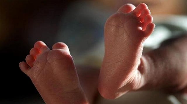 Pigs Inside Campus, Broken Windows: Kota’s J K Lon Hospital Where 940 Infants Died In 2019