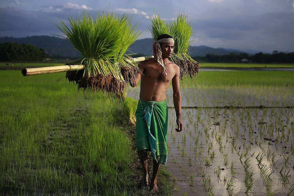 Are Indian Farmers Ready To Explore International Markets?