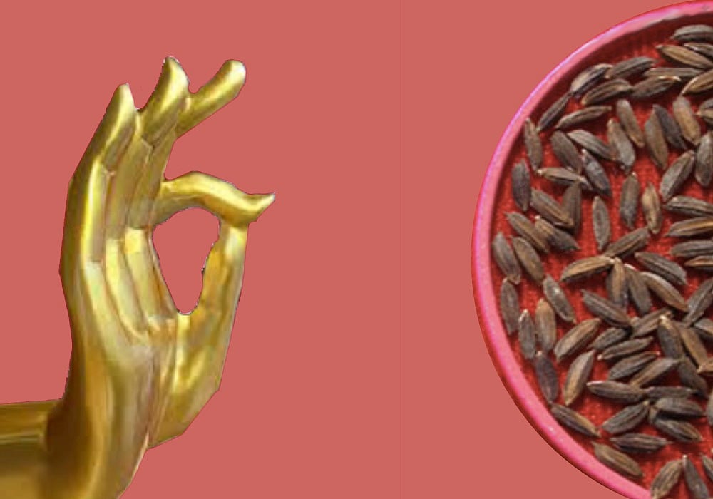 The Heady Aroma Of The Ancient Buddha Rice Is Believed To Be A Gift Of The Buddha. After 3,000 Years, Scientists Are Calling It A Treasure Trove Of Nutrition, That Can Put The Basmati To Shame