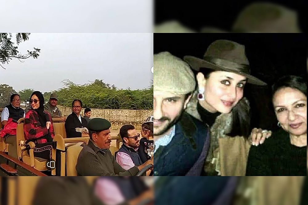 Kareena Kapoor, Saif Ali Khan And Taimur Celebrate Sharmila Tagore's Birthday With A Ranthambore Safari