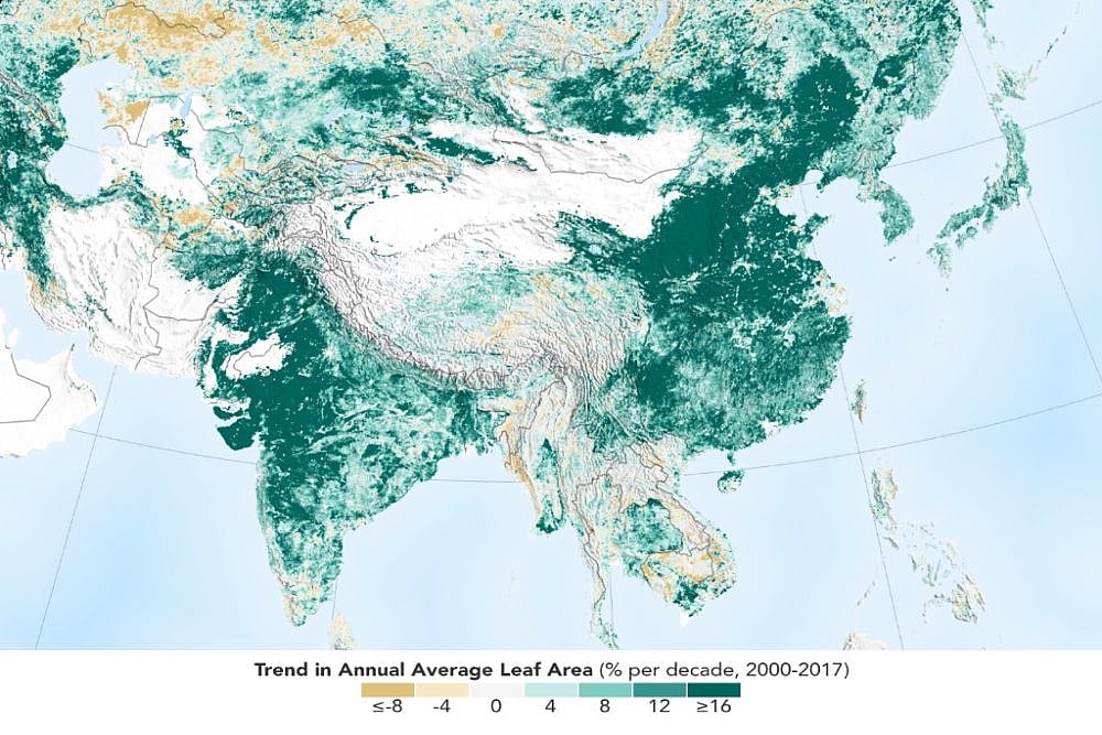 India, China Leading In Greening On Land Worldwide: NASA Study