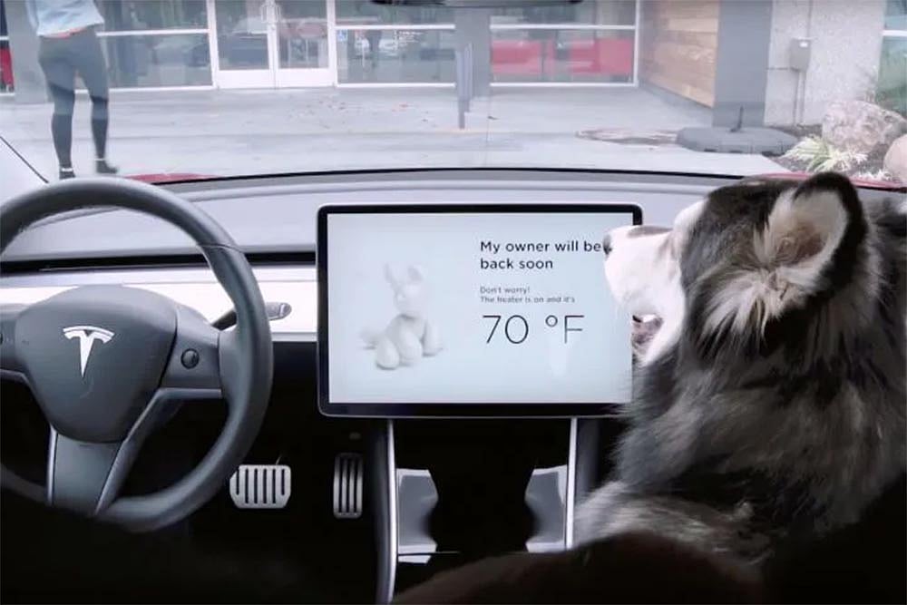 Tesla Cars Get New Dog And Sentry Modes