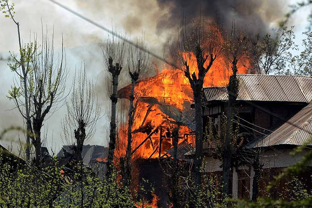 Burnt Leaves Of The Chinar