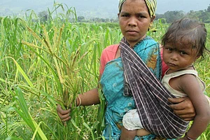 A Sustainable Nutrition Revolution Is What India Needs Today!