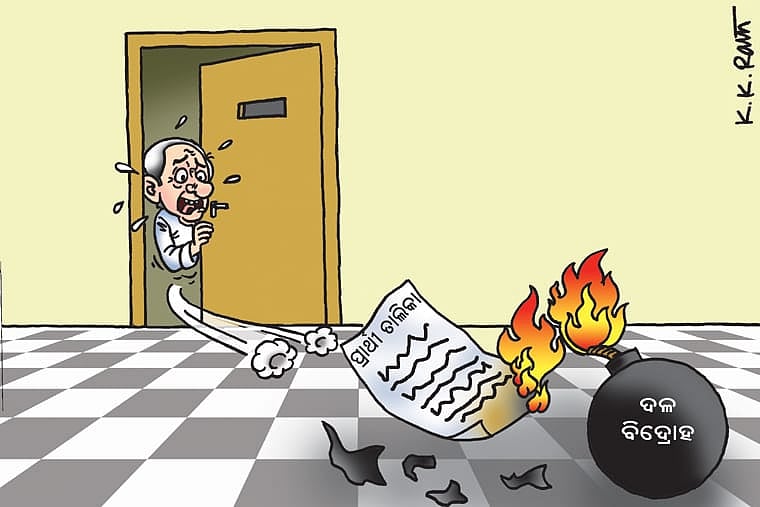 Political Cartoons: Adding Spice And Meaning To The Discourse