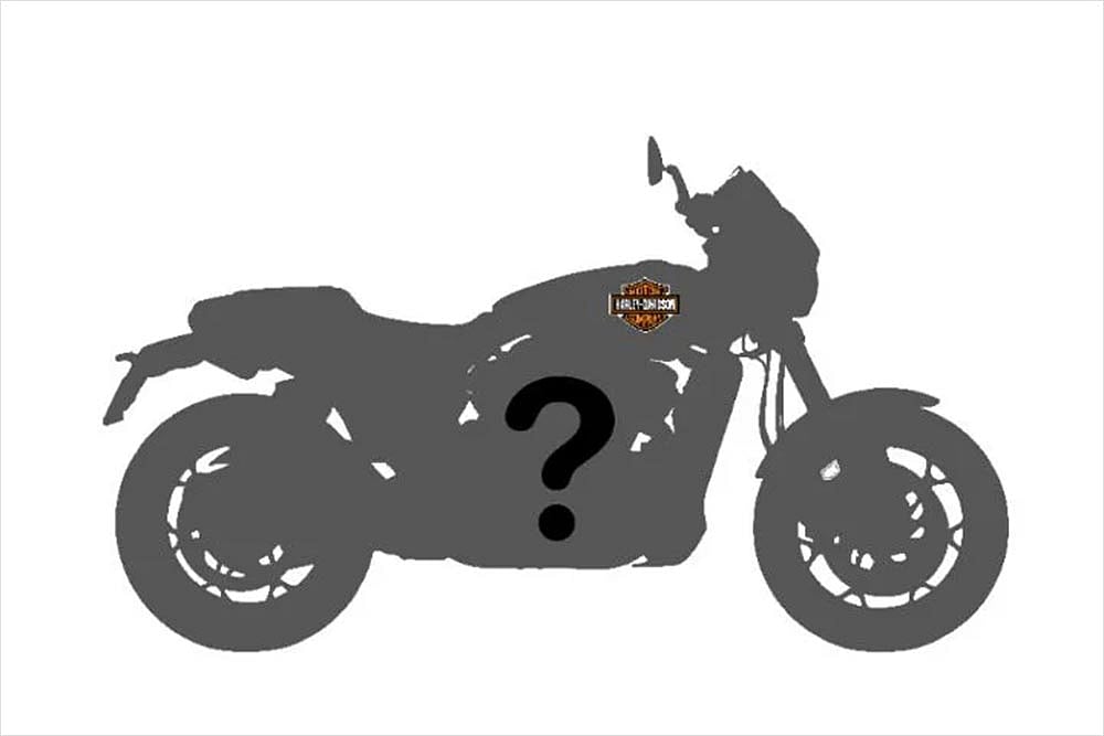 Harley-Davidson Small Capacity Bike: What To expect?