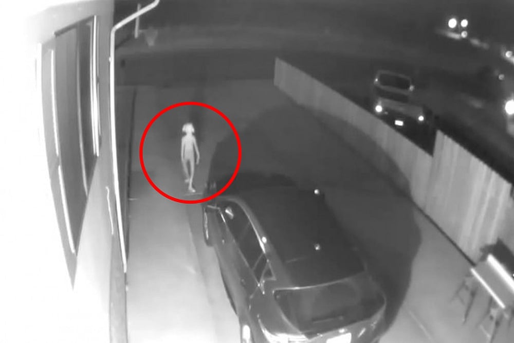 'Is It Dobby?' Internet Goes Crazy After An Elf-like Creature Spotted On CCTV