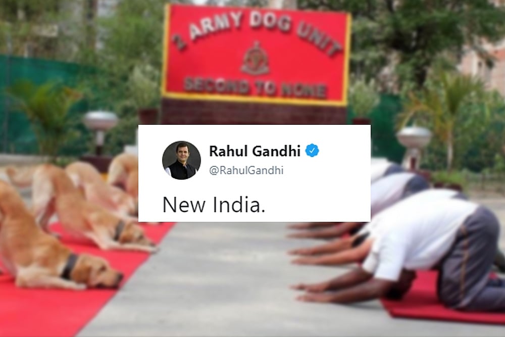 'Life Is One Continuing Joke For Him': Rahul Gandhi Trolled For Yoga Day Tweet On Army Dogs