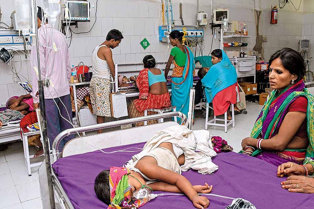 Recurring AES Outbreaks Demand Preventive Measures