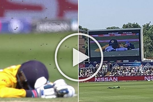 SL Vs SA, ICC Cricket World Cup 2019: Bee Attack Leaves Frightened Sri Lankan, South African Players Cowering At Chester-Le-Street  – WATCH