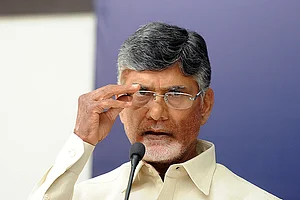 File image : TDP supremo N Chandrababu Naidu