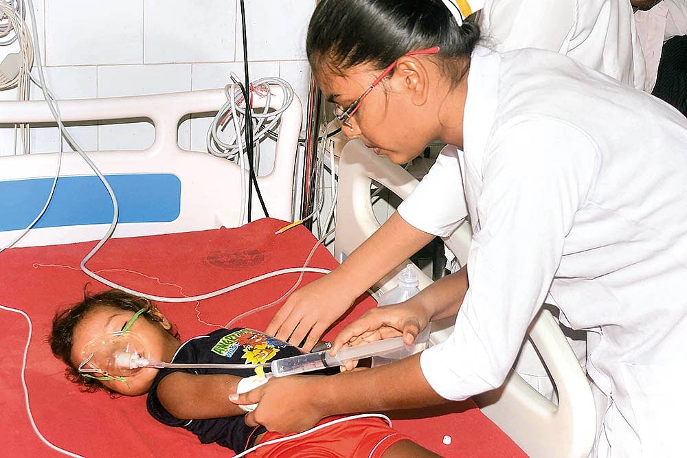 The Litchis Of Wrath