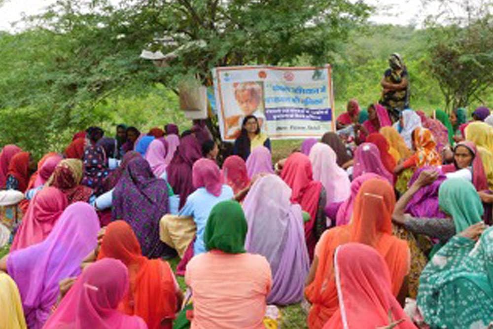 The Politics Of Food