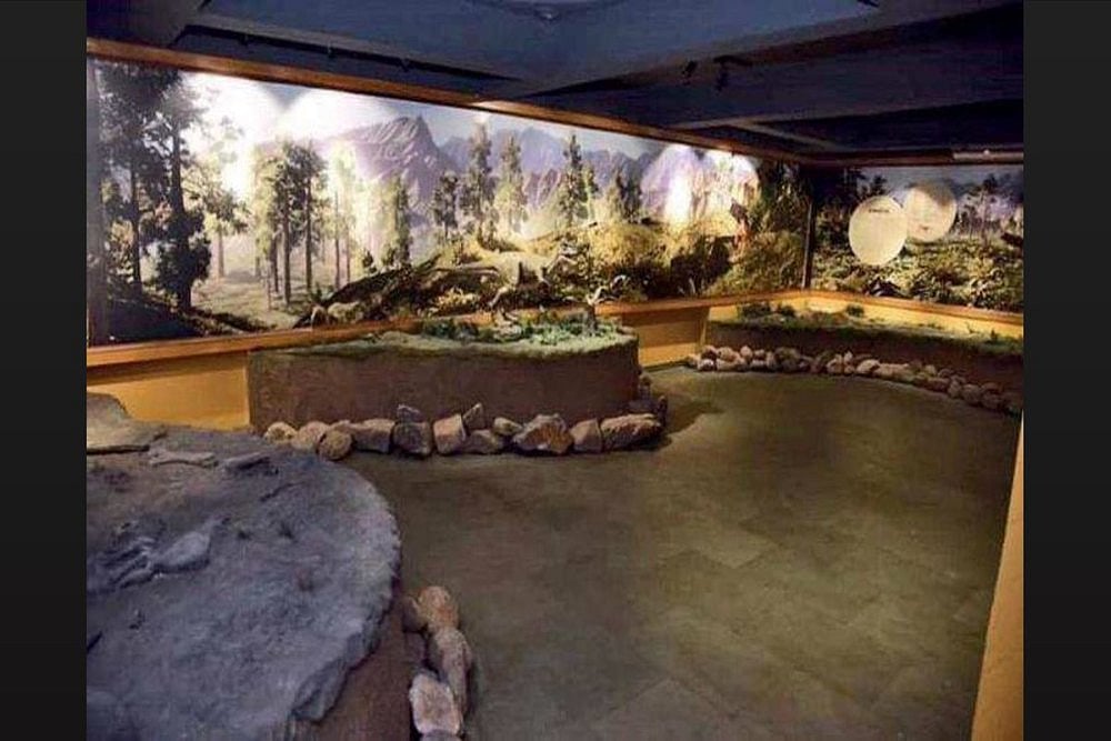 Finally, India's First Dinosaur Museum Park Inaugurated In Gujarat