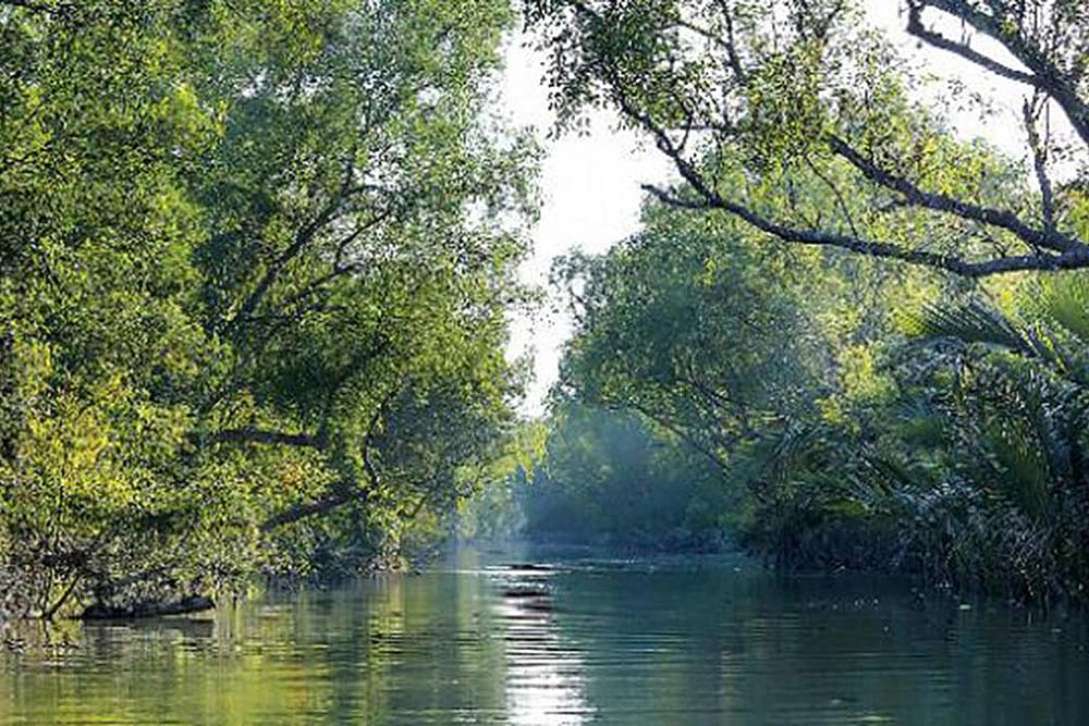 A Bullet With Manasa’s Name