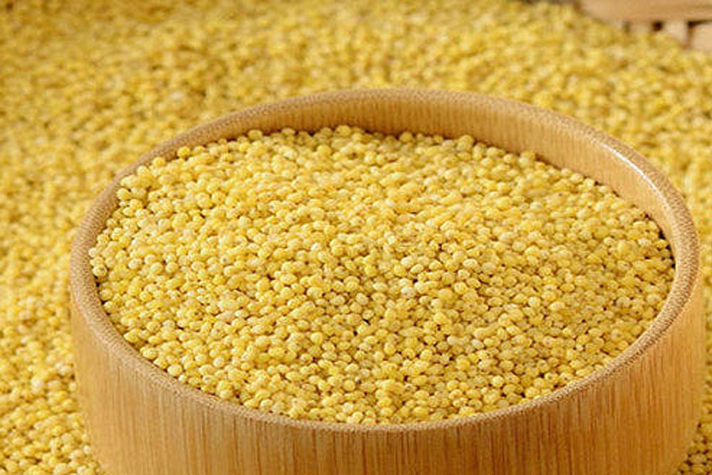 Nutrition Tips For You: Millets for Weight Loss – Foxtail Millet