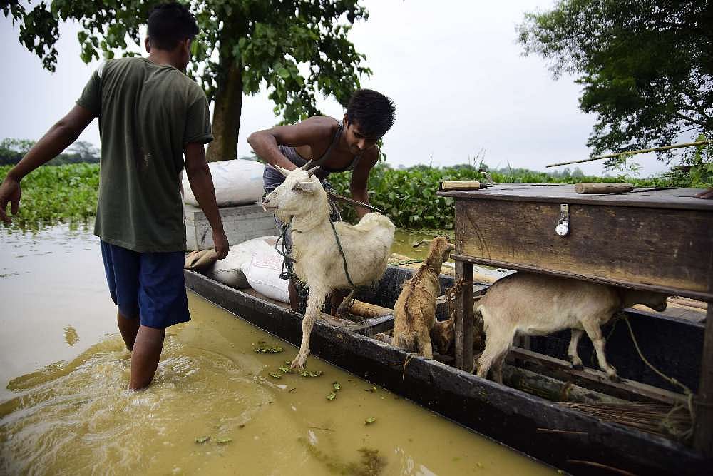 Flood-affected villagers moved to safer places through boats at Harmoti Village near Kaziranga National park.