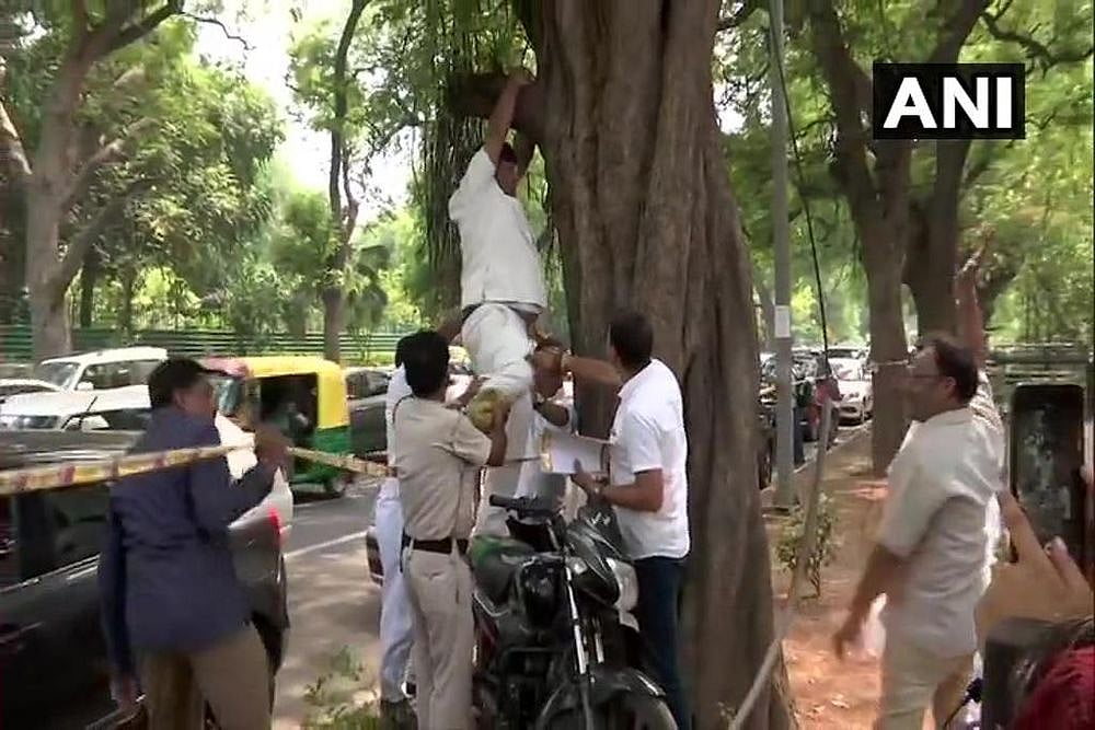 'Trying To Increase Height': Twitter Has A Laugh As Congress Man Climbs Tree To Hang Himself Without Rope