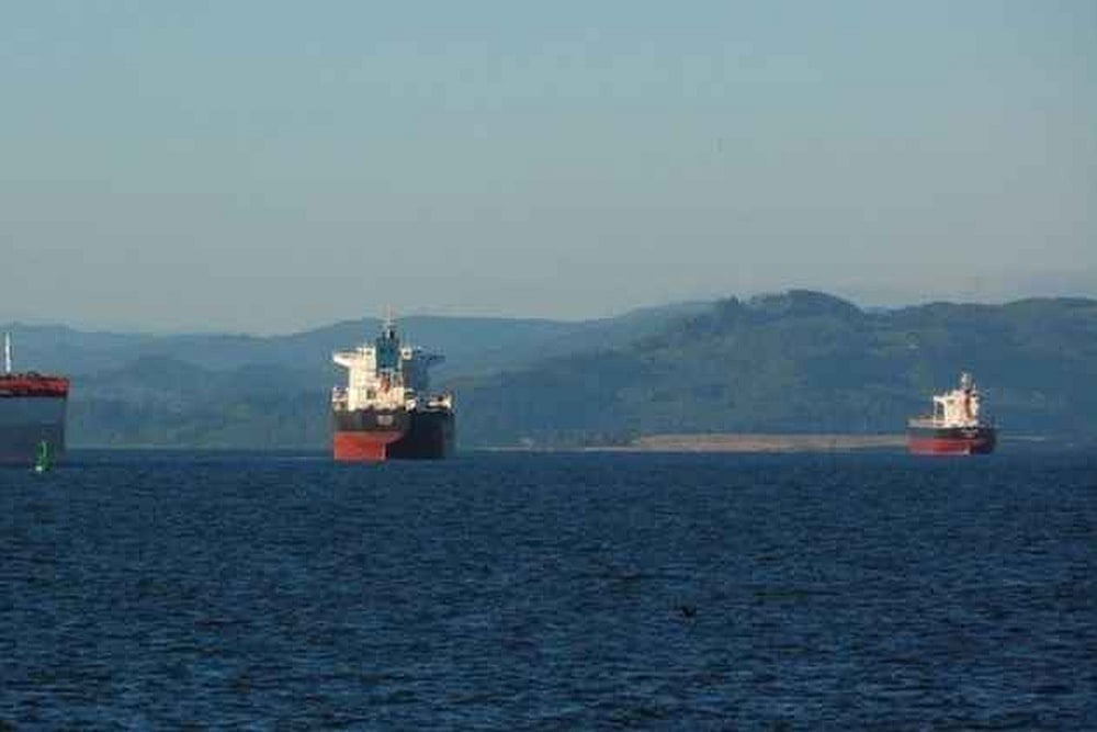 (Image for representation)