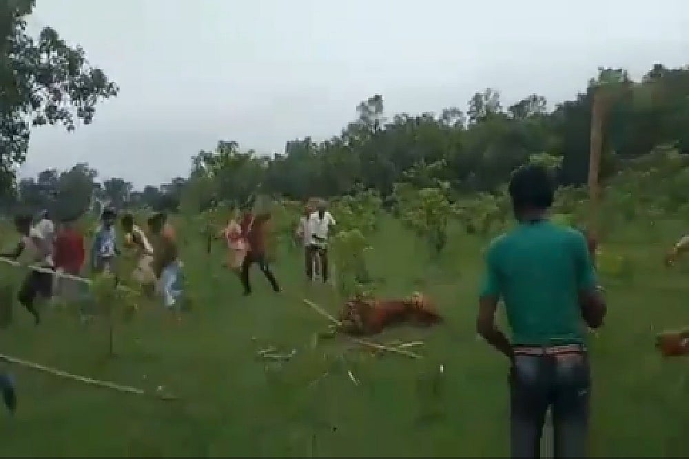 In UP, Adult Tigress Beaten To Death, Villagers Make Video With Commentary