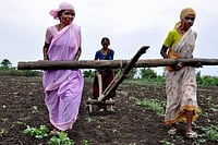 Budget 2019: Focus On Agriculture Sector A Welcome Move, But Better Implementation Required Budget 2019: Focus On Agriculture Sector A Welcome Move, But Better Implementation Required