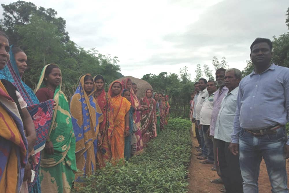 'Become Our Tree Brothers': Odisha Women Gift Saplings To Brahmagiri  Villagers To Rebuild Green Cover