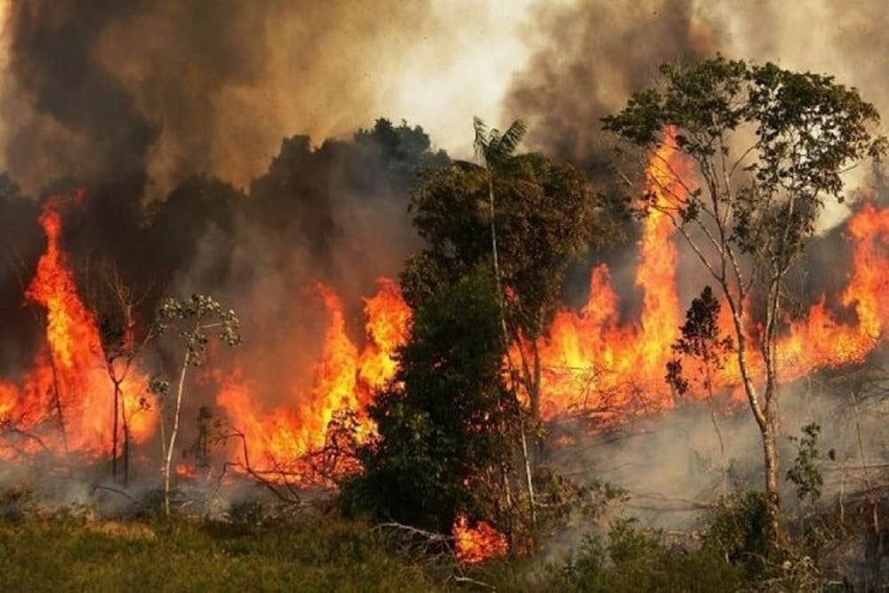 Brazil Rejects G7 Leaders' Aid To Fight Amazon Fires