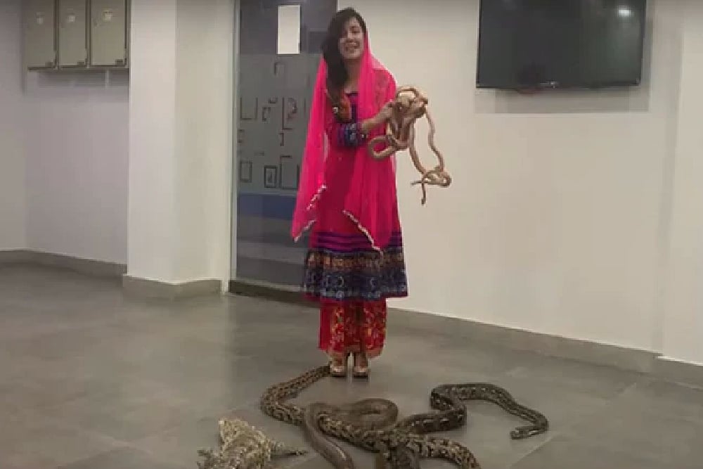 Pakistan Singer Threatens PM Modi With Exotic Reptiles, Gets Fined