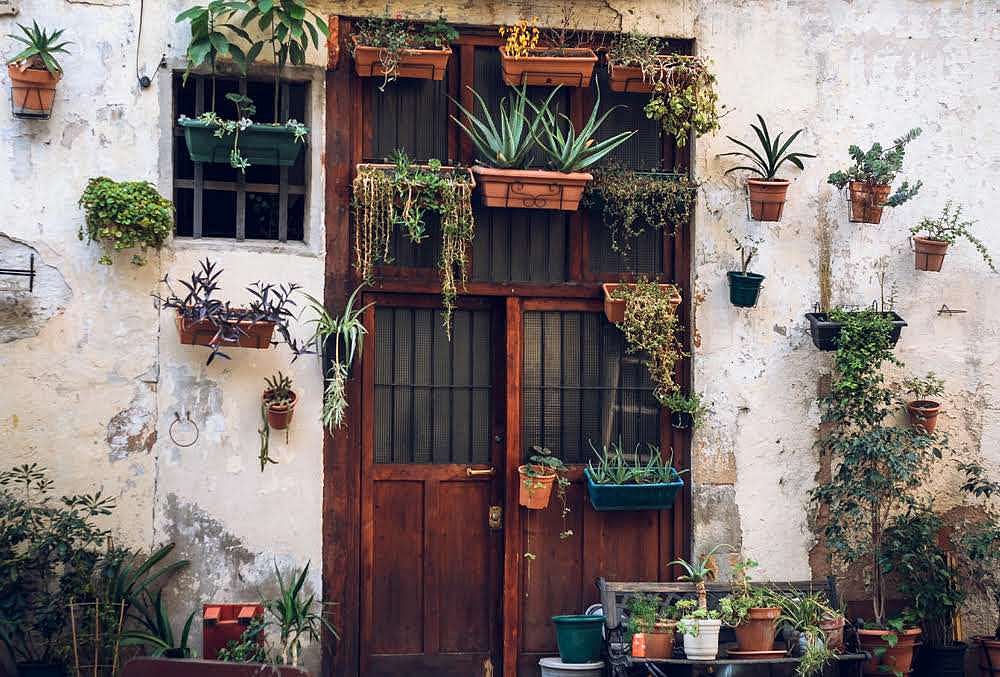 10 Reasons To Start Your Own Kitchen Garden